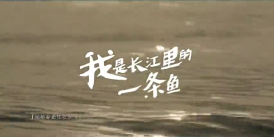 长江里，一条鱼突然“说话”了，咋回事？