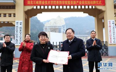 湖北首个茶旅学院在五峰挂牌