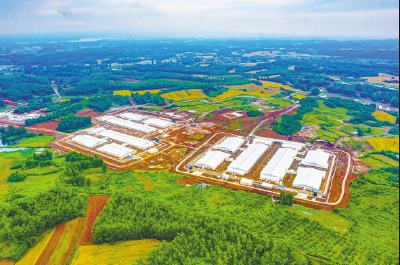 在十大产业链上“起跳”——襄阳农产品加工业产值迈向3000亿目标