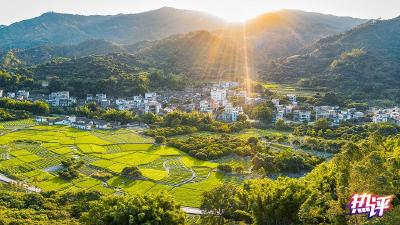 热评丨把短视频打造成乡村振兴的“新农具”
