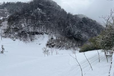 防范雨雪降温天气 保障农业生产安全