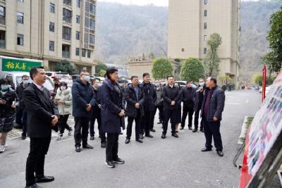 我县召开第一季度乡镇党委书记例会暨“深化党建引领基层治理促进乡村振兴”现场拉练观摩会