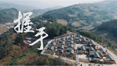 微视频丨握手
