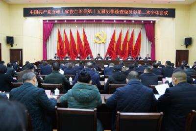 纵深推进全面从严治党 为高质量发展保驾护航  中国共产党五峰土家族自治县第十五届纪律检查委员会第二次全体会议召开