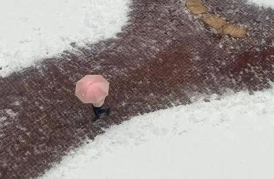雨雪又来了