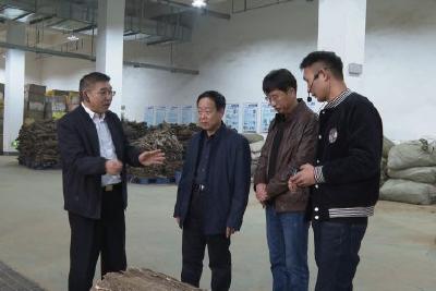 亳州中药材商品交易中心来我县调研中药材全产业链发展