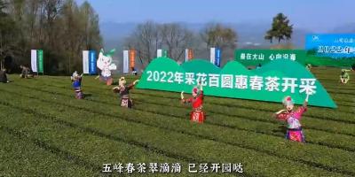 【楚天评】东湖评论：“一片绿叶”向世界传递五峰“好春光”