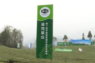 采花茶业数字“智慧茶园”建设启动