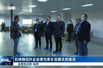 五峰籍在外企业家为家乡发展支招建言