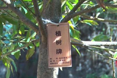 “五峰法官林”和“补植复绿生态修复示范基地”揭牌