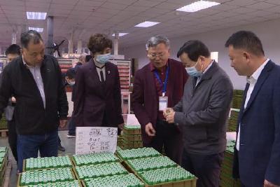 燕元沂在五峰调研时强调 坚持党建引领 严守生态底线 推动高质量发展