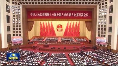独家视频丨十三届全国人大五次会议举行第二次全体会议 习近平等党和国家领导人出席