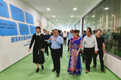 秭归县政协来我县调研茶产业发展