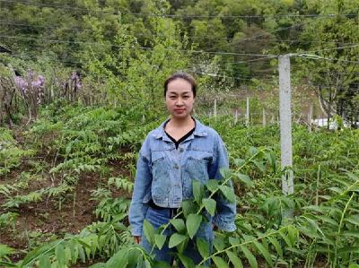 “宜昌楷模”最新名单发布