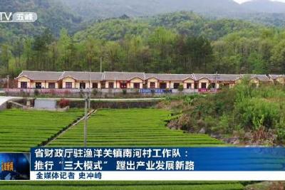 省财政厅驻渔洋关镇南河村工作队：推行“三大模式” 蹚出产业发展新路