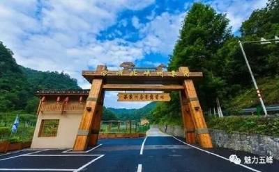 五峰这个宝藏露营地出圈！