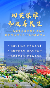 新华述评：切实保障和改善民生——落实中央政治局会议精神做好当前经济工作系列述评之六
