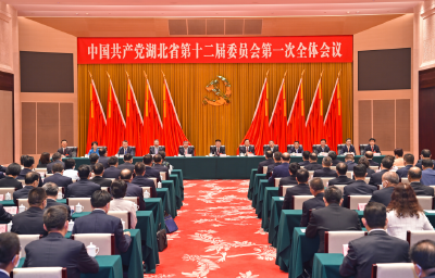 中共湖北省委十二届一次全体会议举行