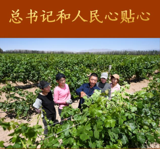 总书记和人民心贴心丨“总书记的真心关怀，暖到了人的心窝子里”