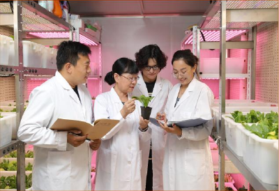 总书记和人民心贴心丨“给农业插上科技的翅膀”