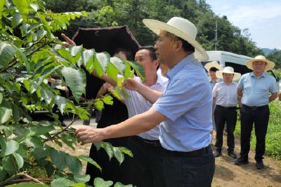 “政协委员助力乡村振兴行动”走进火田坑村