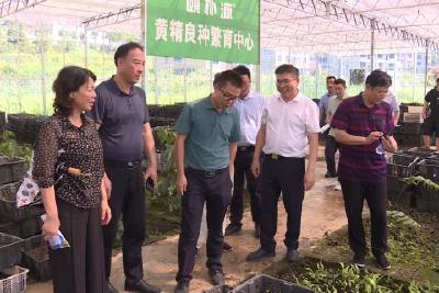 文牧带队赴湖南考察学习中药材产业发展