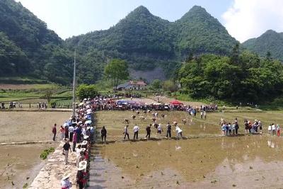 春赏花夏避暑秋观叶冬玩雪 我县全域旅游唱响“四季歌”