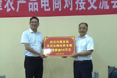 武汉市商务局专项资金50万元支持五峰电商发展