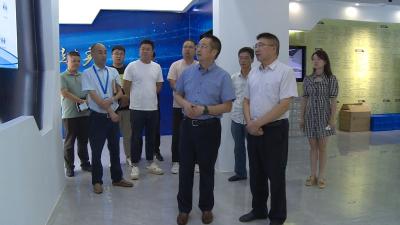 文牧带队到夷陵区考察天麻产业发展情况