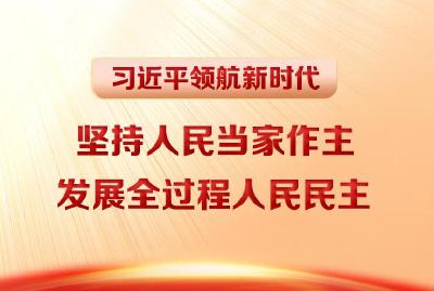 习近平领航新时代｜坚持人民当家作主 发展全过程人民民主
