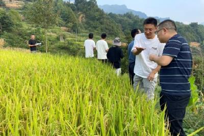 县自然资源和规划局：以农促旅打造水田生态农业