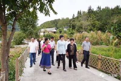 李伦华到清水湾村调研美丽乡村建设工作，强调以“共同缔造”绘出美丽乡村新画卷