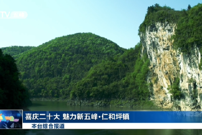 喜庆二十大 魅力新五峰·仁和坪镇