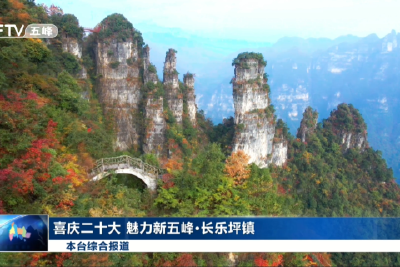 喜庆二十大魅力新五峰·长乐坪镇