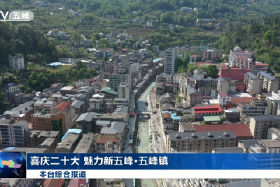 喜庆二十大 魅力新五峰·五峰镇