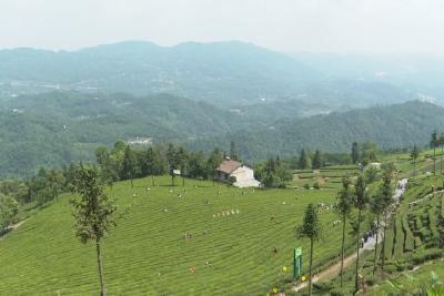 “五个一”服务劳模职工疗休养 助推全域旅游新发展