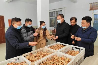 县人大常委会组织市七届人大代表开展集中视察