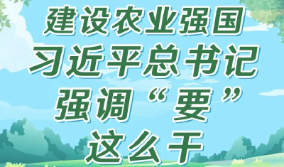 建设农业强国，习近平总书记强调“要”这么干