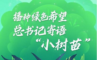 学习进行时｜播种绿色希望 总书记寄语“小树苗”
