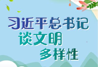 学习进行时丨习近平总书记谈文明多样性