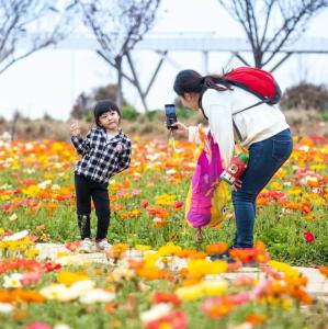 多地宣布：半价！免费！