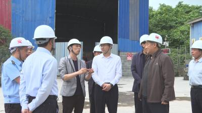 覃业成带队督导检查工业企业安全生产工作