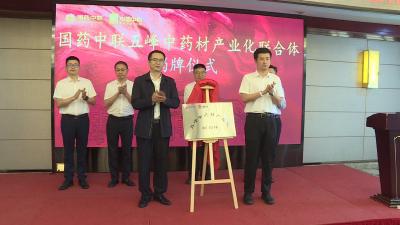 国药中联与五峰共同打造中药材产业化联合体