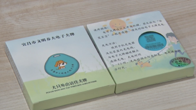 文明养犬 给狗狗办理“身份证”