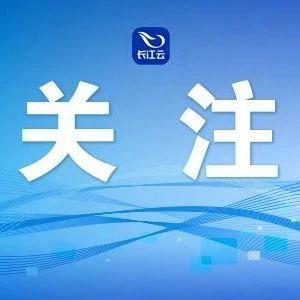 全球征集