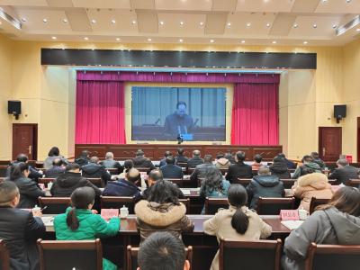 市总林长会议暨绚丽花城建设动员视频会召开 全域协同持续发力 更好满足人民期待