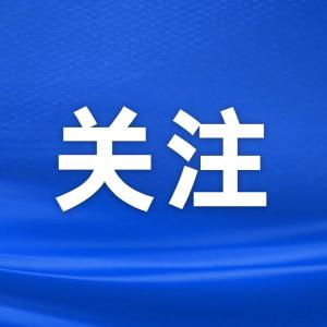 湖北省纪委监委最新通报