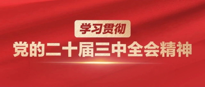 微观察｜“以钉钉子精神抓好改革落实”