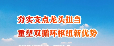 夯实支点龙头担当，重塑双循环枢纽新优势