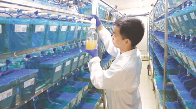 新春走基层｜春节科研忙，支点建设劲头足